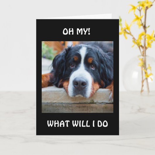 WAT MOET IK DOEN "ZONDER JOU?" KAART (Gele Bloem)