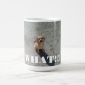 "Wat?!" Mok (Center)