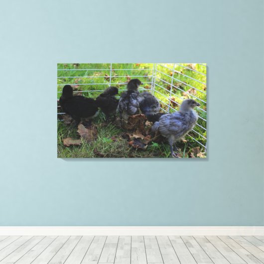 Wat omhoog - het Uiteinde van de Kip is Canvas Afdruk (Insitu (Houten vloer))