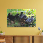 Wat omhoog - het Uiteinde van de Kip is Canvas Afdruk (Insitu (Woonkamer))