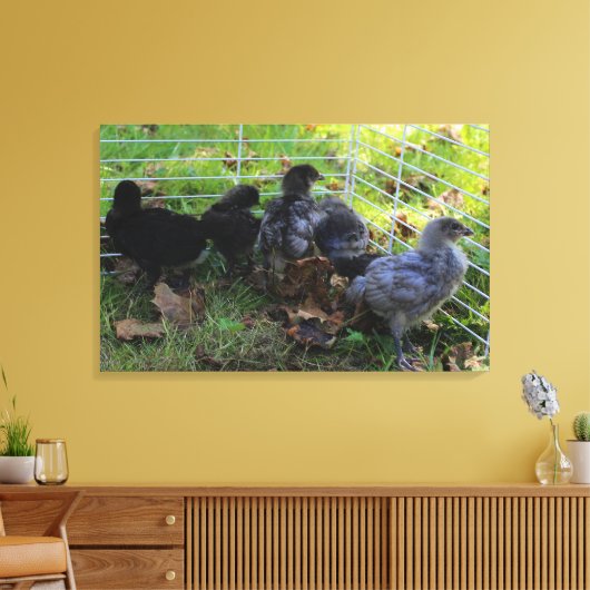 Wat omhoog - het Uiteinde van de Kip is Canvas Afdruk (Insitu (Woonkamer))