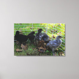 Wat omhoog - het Uiteinde van de Kip is Canvas Afdruk