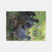 Wat omhoog - het Uiteinde van de Kip is Fleece Deken (Voorkant (Horizontaal))