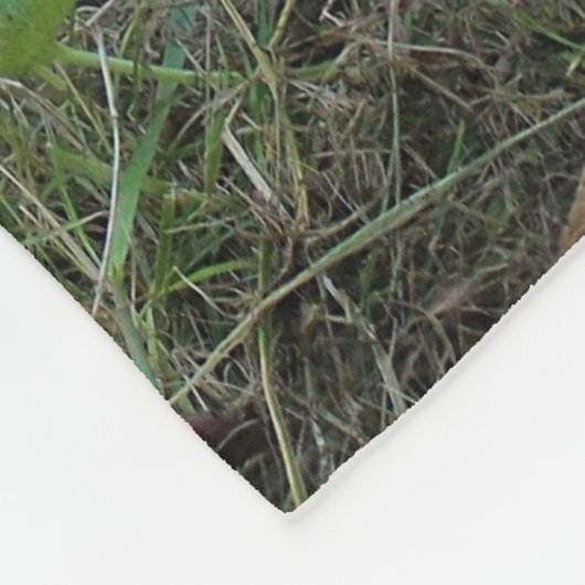 Wat omhoog - het Uiteinde van de Kip is Fleece Deken (Hoek)