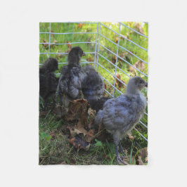 Wat omhoog - het Uiteinde van de Kip is Fleece Deken