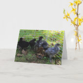 Wat omhoog - het Uiteinde van de Kip is Kaart (Gele Bloem)