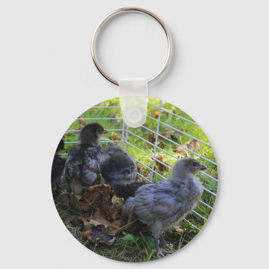 Wat omhoog - het Uiteinde van de Kip is Sleutelhanger (Voorkant)