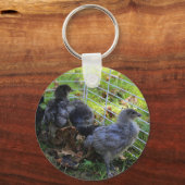 Wat omhoog - het Uiteinde van de Kip is Sleutelhanger (Voorkant)