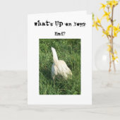 Wat omhoog is kaart (Gele Bloem)