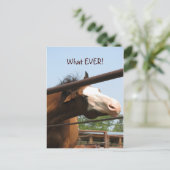 Wat ooit! briefkaart (Staand voorkant)