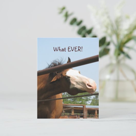 Wat ooit! briefkaart (Staand voorkant)