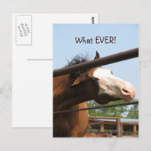 Wat ooit! briefkaart (Voorkant / Achterkant)