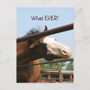 Wat ooit! briefkaart