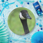 Wat? Papieren Bordje (Feest)