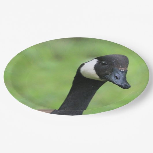 Wat? Papieren Bordje (Gekanteld)