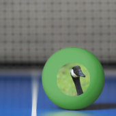 Wat? Pingpongbal (Net)