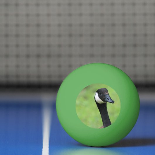 Wat? Pingpongbal (Net)