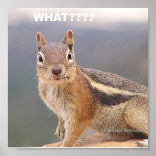 Wat?? Poster (Voorkant)