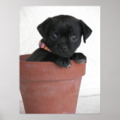 Wat? Poster (Voorkant)