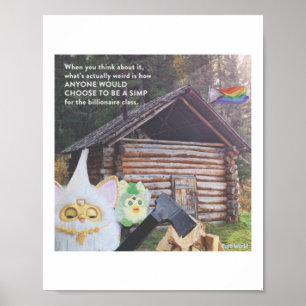 Wat raar is hoe iemand voor een miljardair zou gaa poster