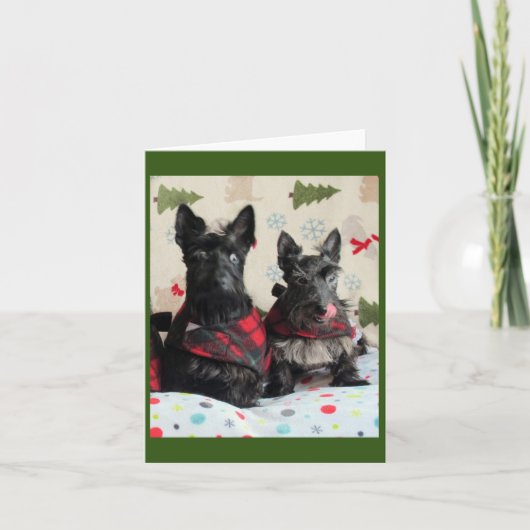 Wat rendier? Kaart (Voorkant)