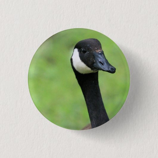 Wat? Ronde Button 3,2 Cm (Voorkant)