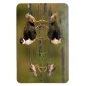 Wat schattige kuikens magneet (Verticaal)