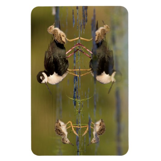 Wat schattige kuikens magneet (Verticaal)