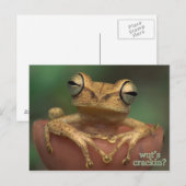 wat scheurt er ? briefkaart (Voorkant / Achterkant)