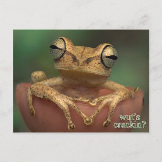 wat scheurt er ? briefkaart (Voorkant)