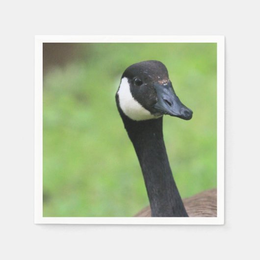 Wat? Servet (Voorkant)