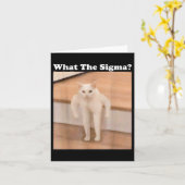 Wat Sigma Meme Cat Meme Internet Memes Funny Meme Kaart (Gele Bloem)