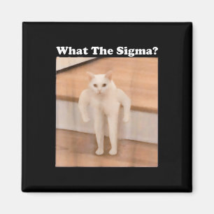 Wat Sigma Meme Cat Meme Internet Memes Funny Meme Magneet