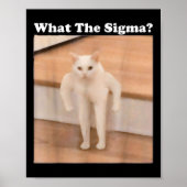 Wat Sigma Meme Cat Meme Internet Memes Funny Meme Poster (Voorkant)