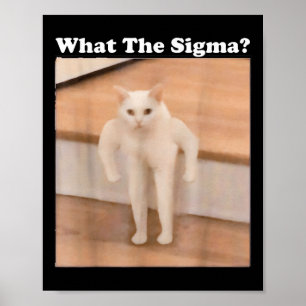 Wat Sigma Meme Cat Meme Internet Memes Funny Meme Poster