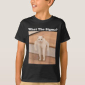 Wat Sigma Meme Cat Meme Internet Memes Funny Meme T-shirt (Voorkant)