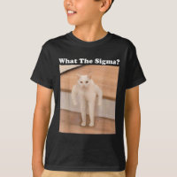 Wat Sigma Meme Cat Meme Internet Memes Funny Meme