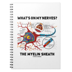Wat staat er op mijn zenuwen? De Myelin Sheath Notitieboek