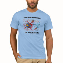 Wat staat er op mijn zenuwen? De Myelin Sheath