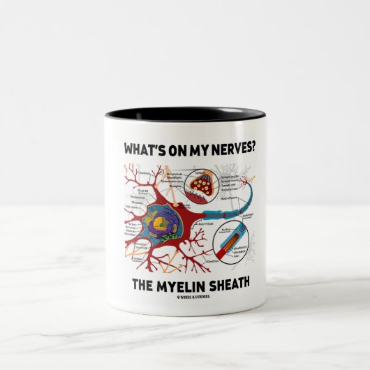 Wat staat er op mijn zenuwen? De Myelin Sheath Tweekleurige Koffiemok (Center)