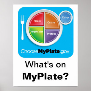 Wat staat er op MyPlate? Poster - Blauw op wit