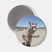 Wat stinkt? magneet (Voorkant / Achterkant)