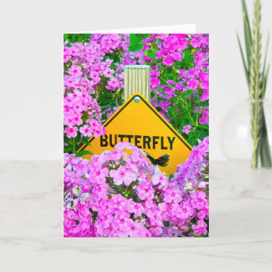 Wat te doen in de buurt van Butterfly Garden Kaart