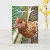 Wat te doen in de buurt van Chicken Butt Funny Chi Kaart (Gele Bloem)