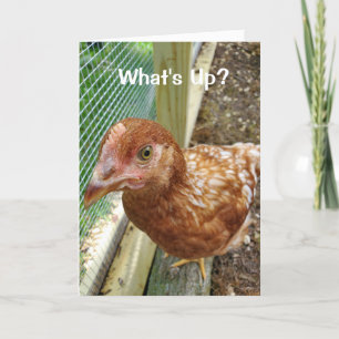 Wat te doen in de buurt van Chicken Butt Funny Chi Kaart