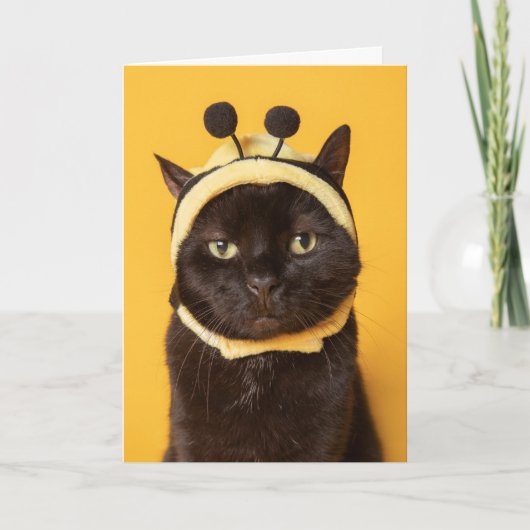 Wat te doen in de buurt van Funny Cat in Bumblebee Feestdagen Kaart (Voorkant)
