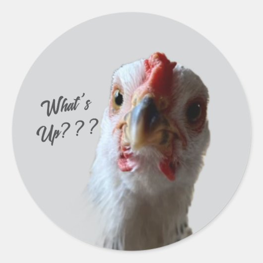 Wat te doen in de buurt van Hen Sticker (Voorkant)