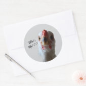 Wat te doen in de buurt van Hen Sticker (Envelop)