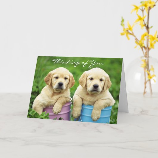 Wat te doen in de buurt van Labrador Retriever Pup Kaart (Gele Bloem)