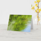 Wat te doen in de buurt van Laurel Hill State Park Kaart (Gele Bloem)